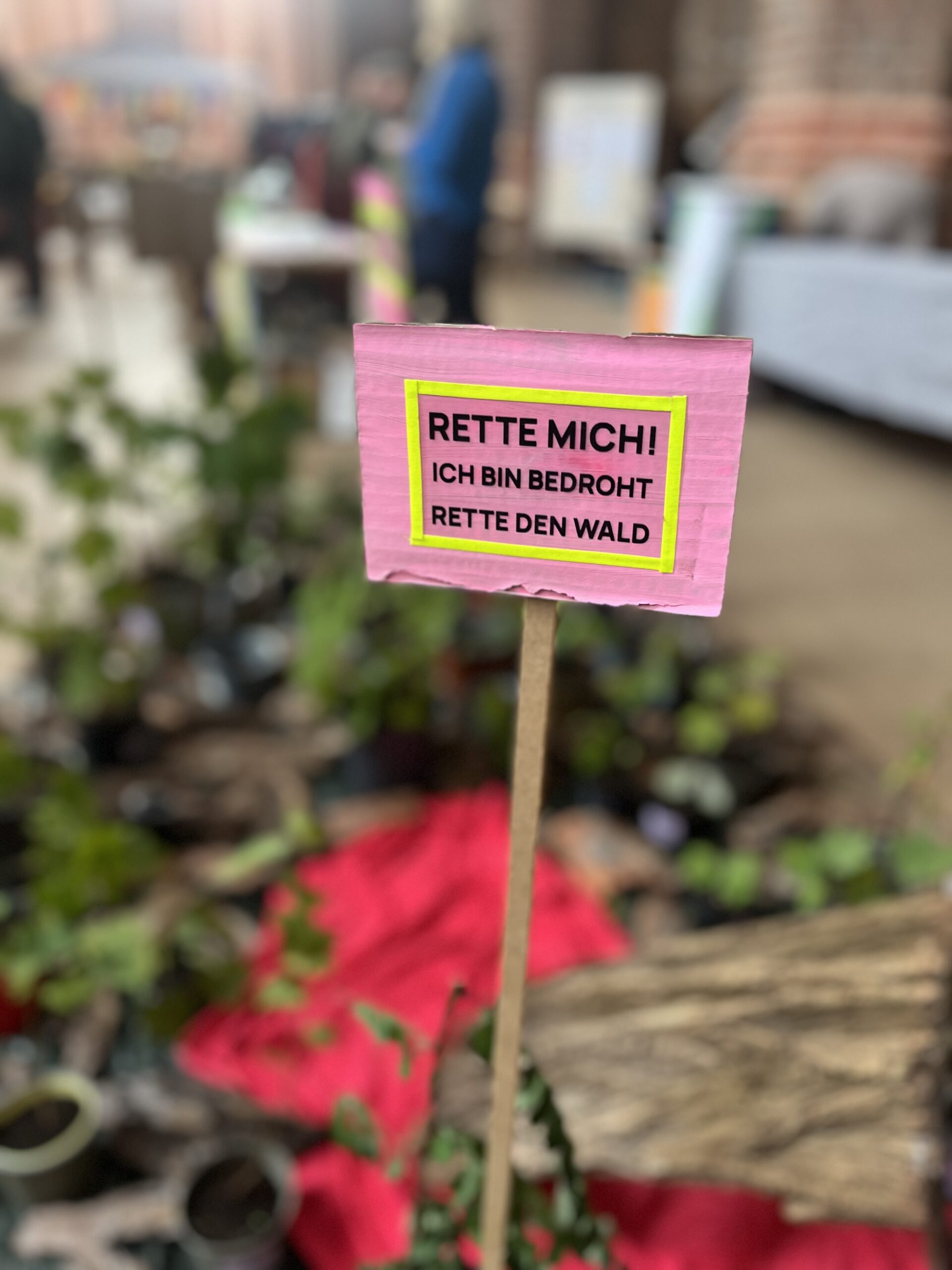 Bauminstallation Forst